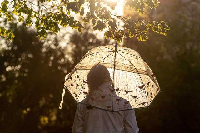 - Creating​ a Whimsical ​Atmosphere: How to Incorporate Umbrellas‍ in Your Bridal Shower‌ Decor