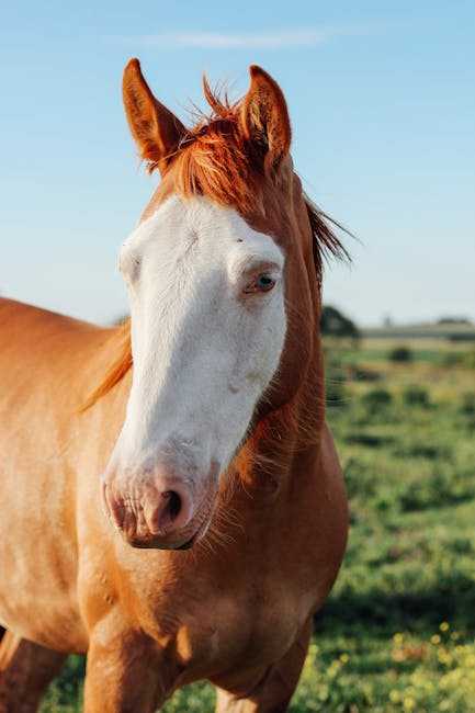 bridle your passions