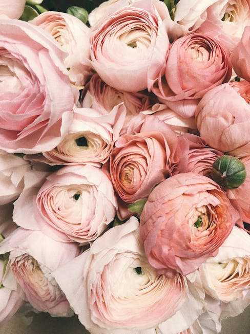 Choosing the Perfect‍ Flowers to Enhance Your Bridal Garden