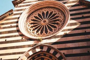 bridal shower decor amazon