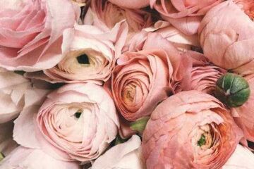 bridal shower decor kit